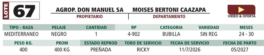 Lote LOTE 67