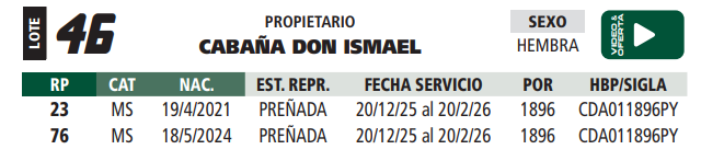 Lote LOTE 46