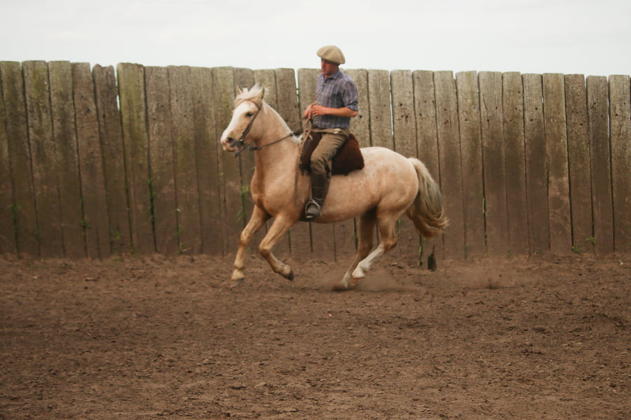 Lote LACAMPANA MILONGA