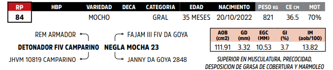 Lote LOTE 4