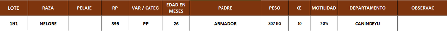 Lote LOTE 191