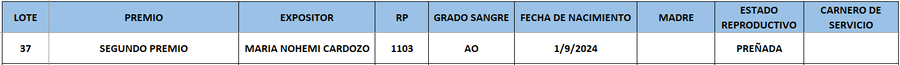 Lote LOTE 37