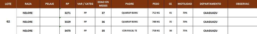Lote LOTE 62