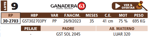 Lote LOTE 9