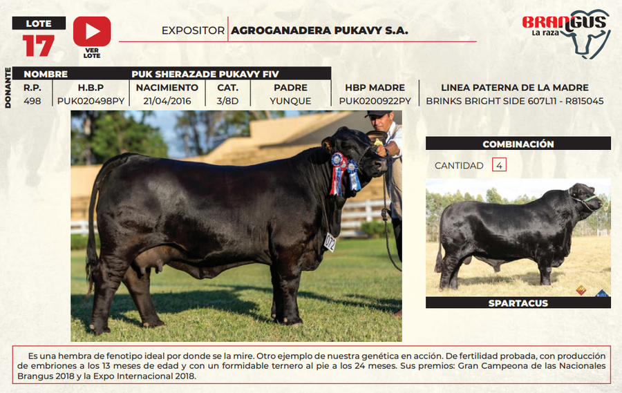 Lote LOTE 17