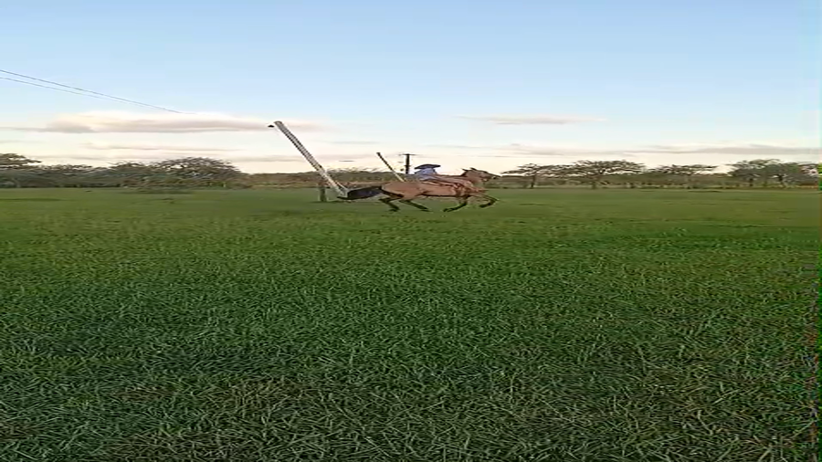 Lote 1 Montados en Corrientes, Curuzu Cuatia