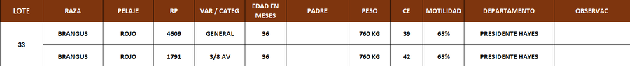 Lote LOTE 33- POR PANTALLA
