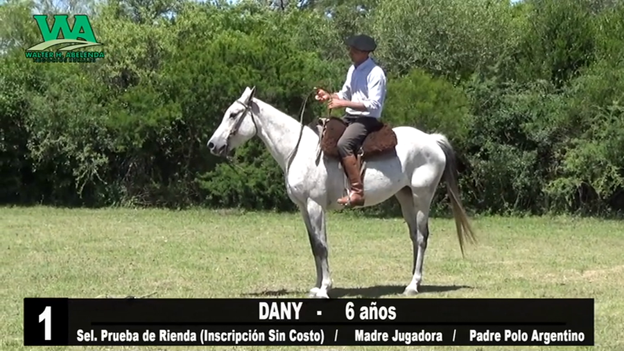 Lote DANY