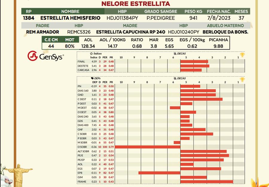 Lote LOTE 10