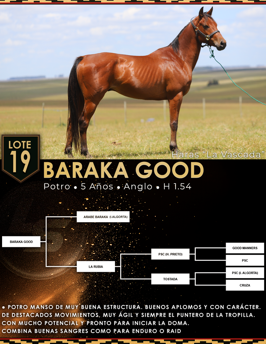 Lote BARAKA GOOD