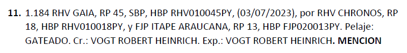 Lote LOTE 11