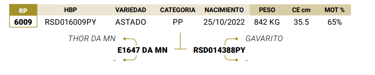 Lote LOTE 14