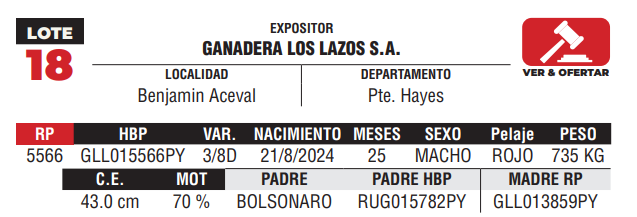 Lote LOTE 18 - DE CAMPO