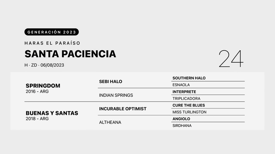 Lote SANTA PACIENCIA
