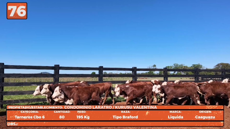 Lote LOTE 76