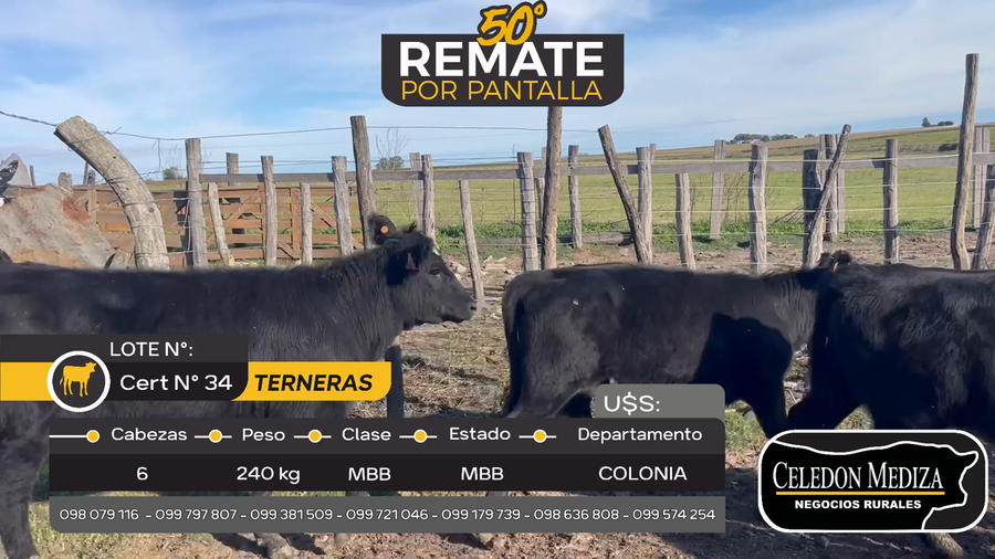 Lote 6 Terneras en Tarariras, Colonia
