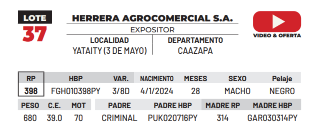 Lote LOTE 37 -DE CAMPO