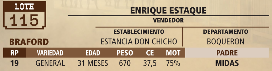 Lote LOTE 115 - VIVO