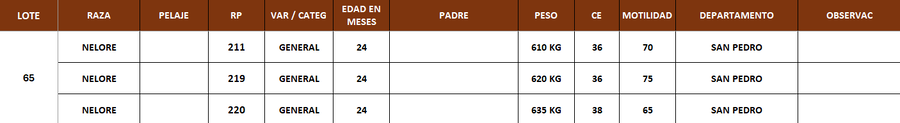 Lote LOTE 65