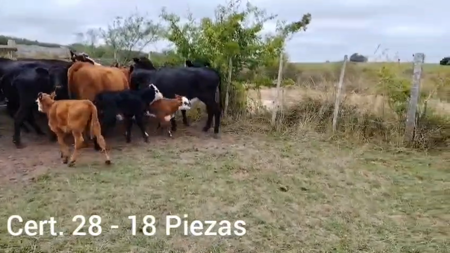 Lote 18 PIEZAS DE CRIA