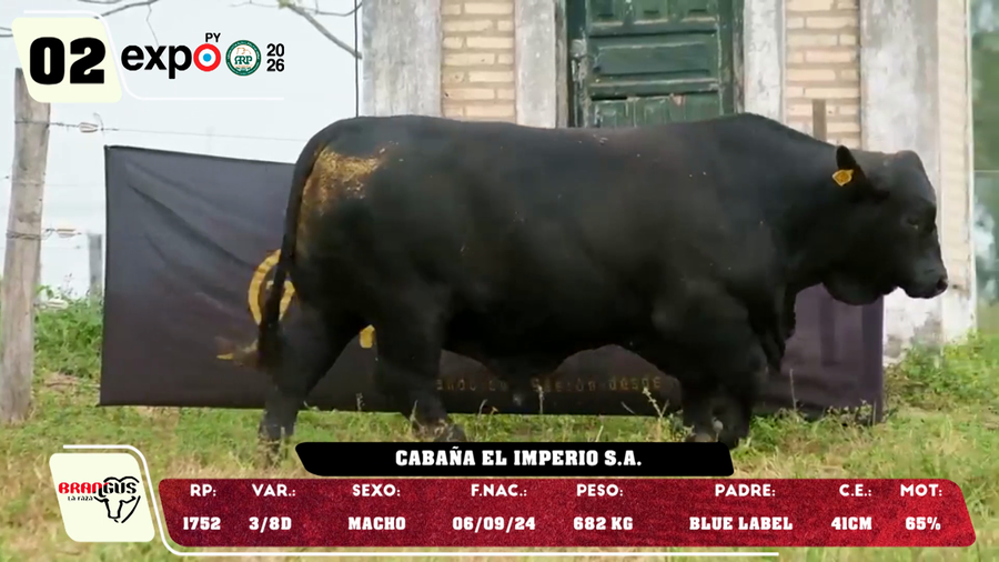 Lote LOTE 2