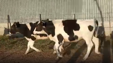 Lote 10 Ternetas en San Jeronimo Norte, Santa Fe