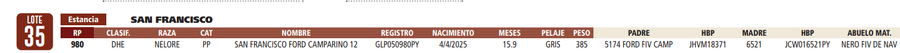 Lote LOTE 35