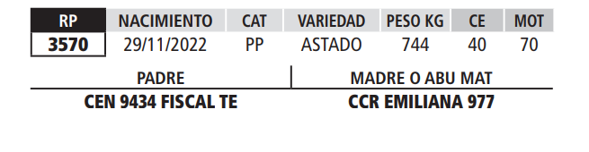 Lote LOTE 54