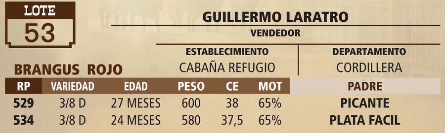 Lote LOTE 53 - VIVO