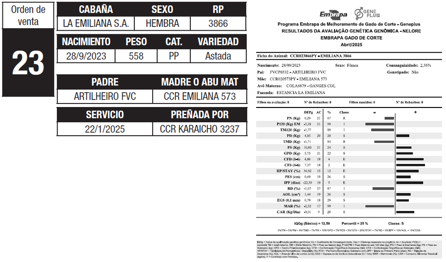 Lote LOTE 23