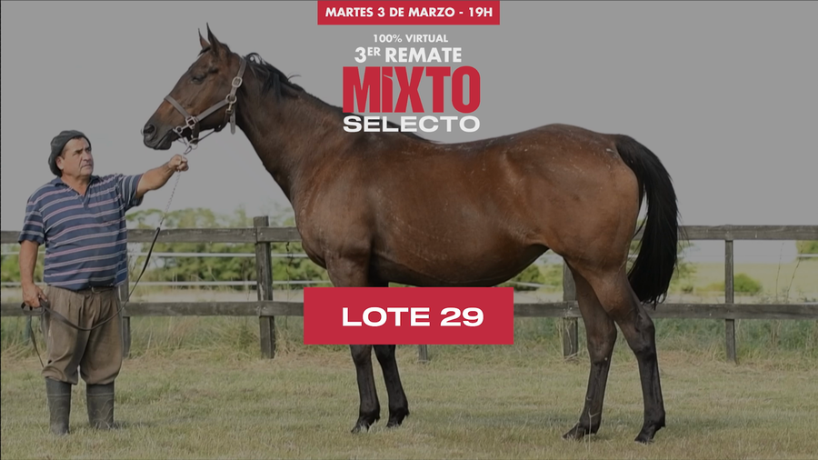 Lote EDITABLE (ARG)