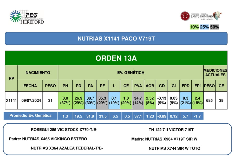Lote ORDEN 13 TOROS PP