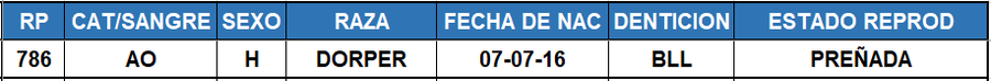 Lote LOTE 39