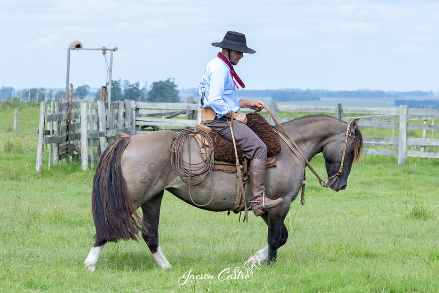 Lote Aguatera De Los Recuerdos