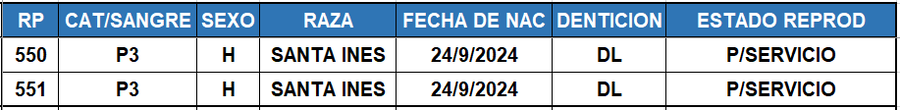 Lote LOTE 20