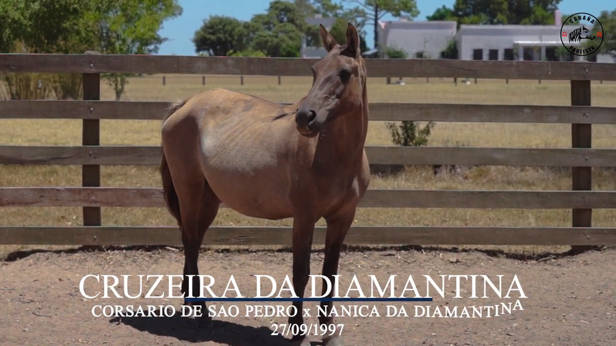 Lote Cruzeira Da Diamantina