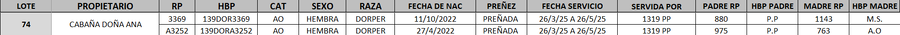 Lote LOTE 74- DESTACADO