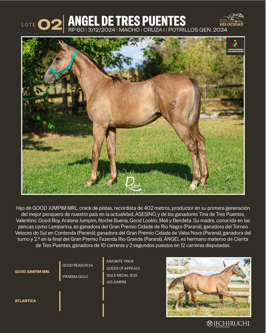 Lote ANGEL DE TRES PUENTES