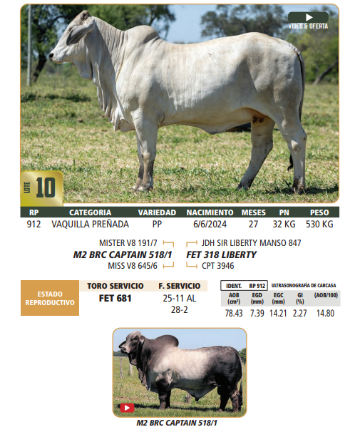 Lote LOTE 10