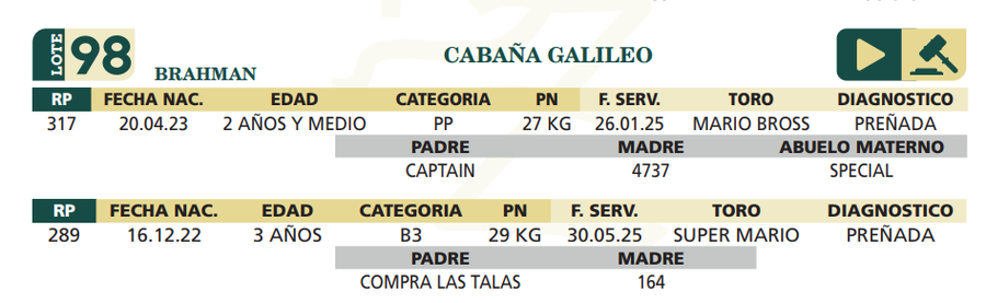 Lote LOTE 98