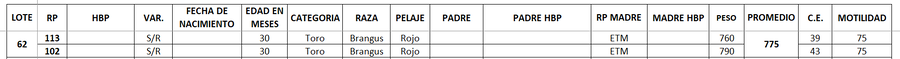 Lote LOTE 62