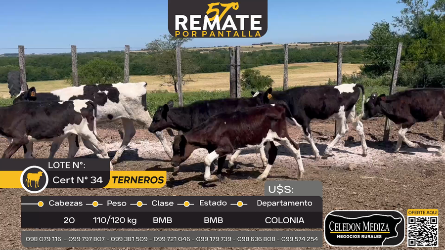 Lote 20 Terneros en Los Cerros de San Juan, Colonia