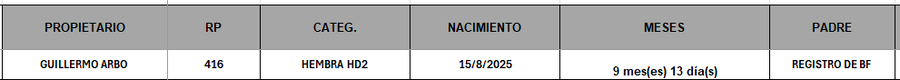 Lote LOTE 19