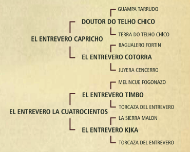 Lote El entrevero caprichosa 482