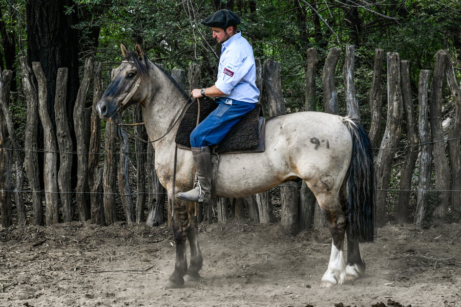 Lote TINAJERA PASO Y QUIERO