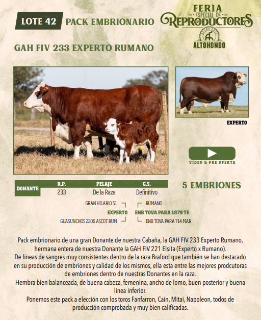Lote LOTE 42