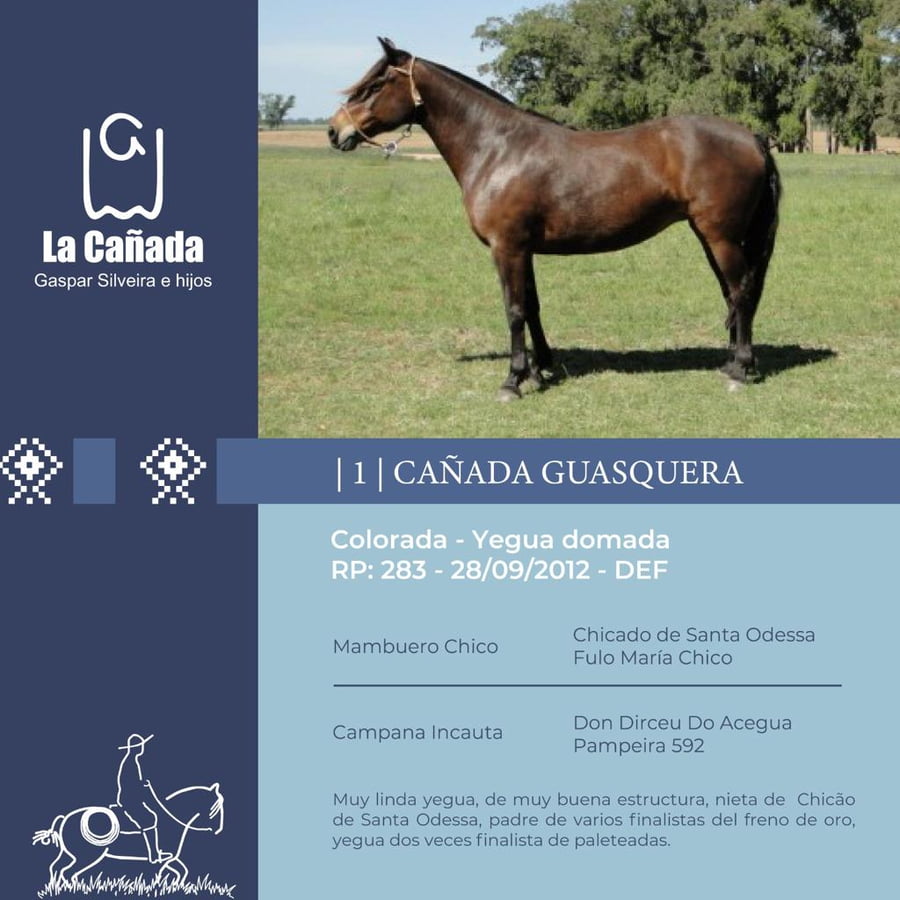 Lote Cañada Guasquera (RP 283) Cabaña "La Cañada"
