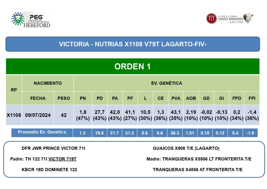 Lote Terneras PP