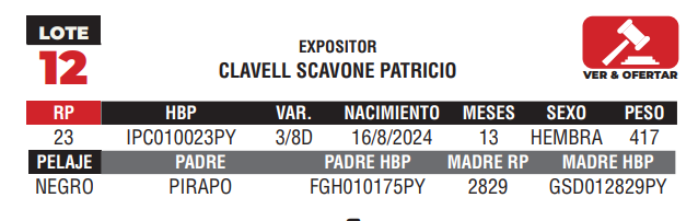 Lote LOTE 12 - JUNIOR