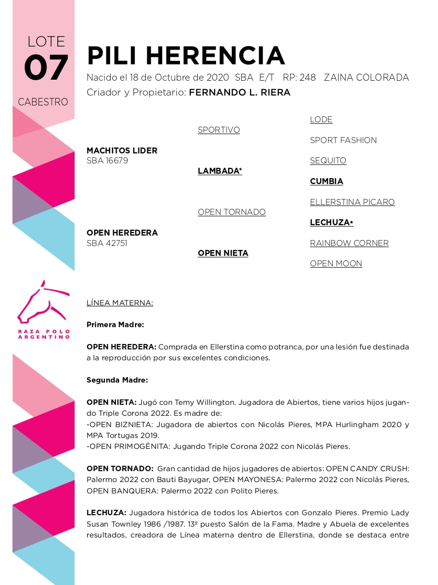 Lote PILI HERENCIA (MACHITOS LIDER - OPEN HEREDERA)